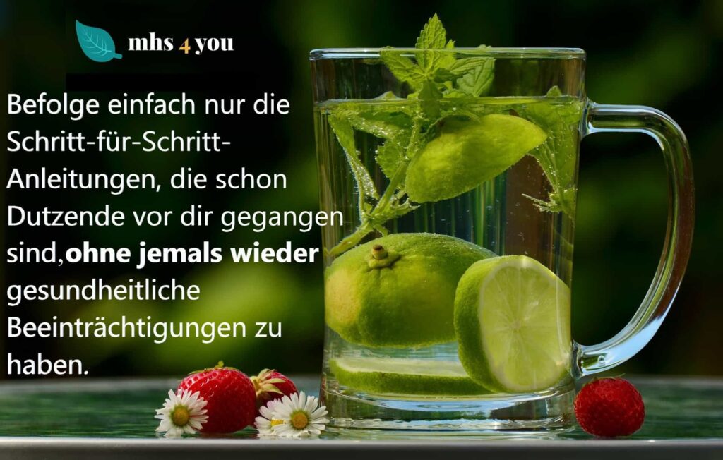 Plan Entgiftung mhs 4 you